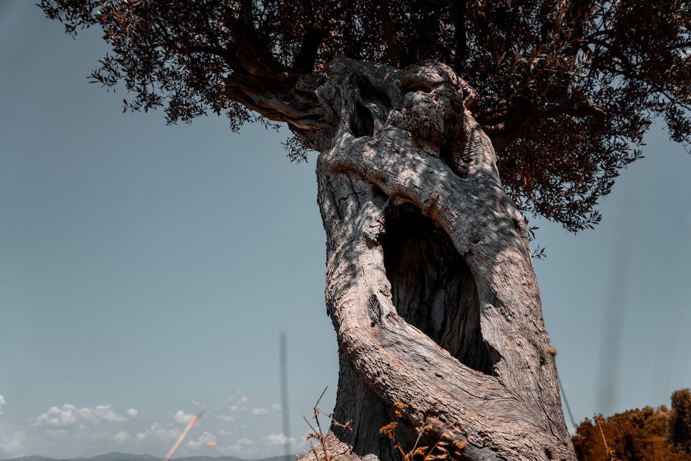 The Whispers of Time by Erdem Köşk