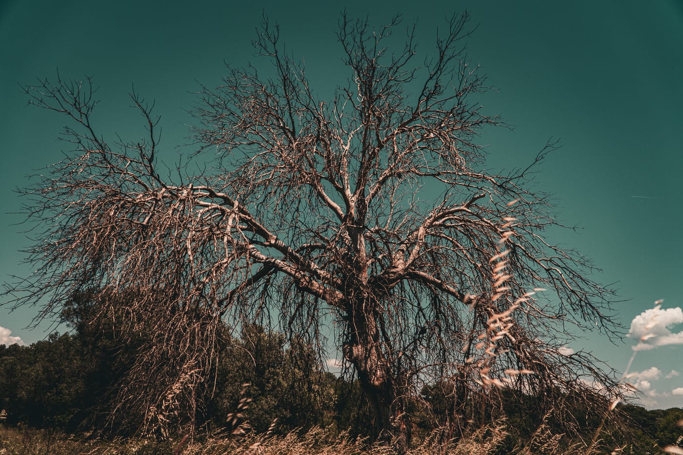 The Anatomy of Melancholy by Erdem Köşk